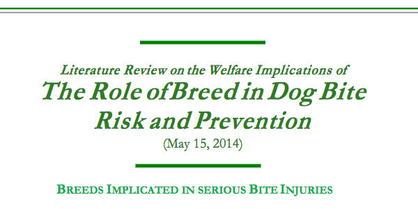 role of breed in dog bite risk and prevention